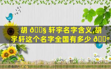 胡 🐧 轩宇名字含义,胡宇轩这个名字全国有多少 🐺